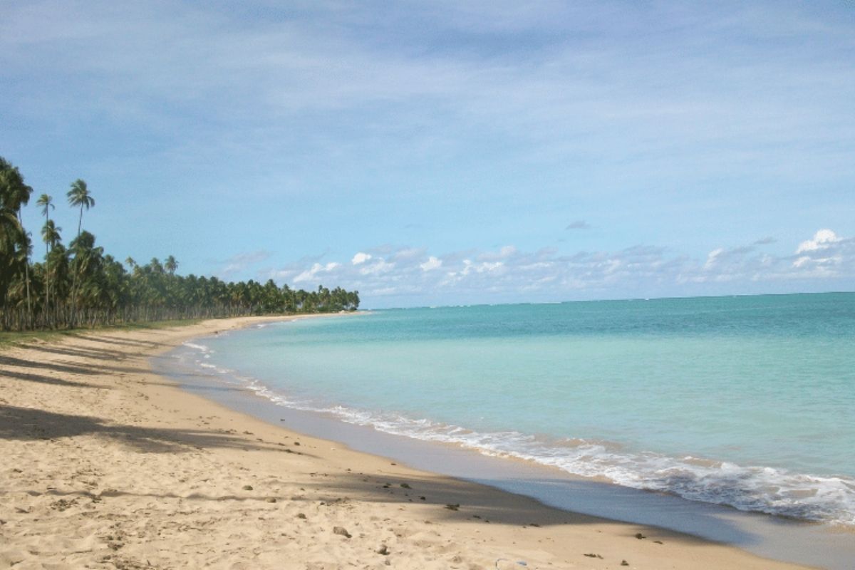 5 praias paradisíacas de Alagoas