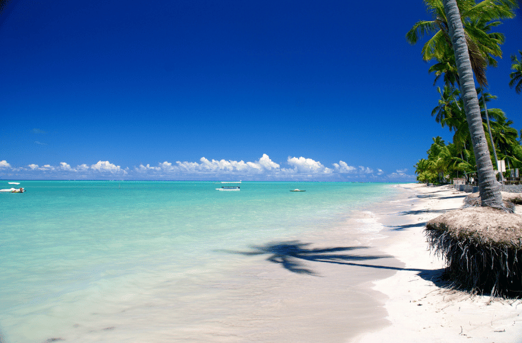 5 praias paradisíacas de Alagoas