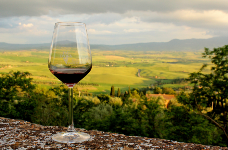 Enoturismo: saiba quais são os melhores destinos para amantes de vinho
