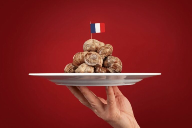 Explore as curiosidades da gastronomia francesa-sabores, história e tradições
