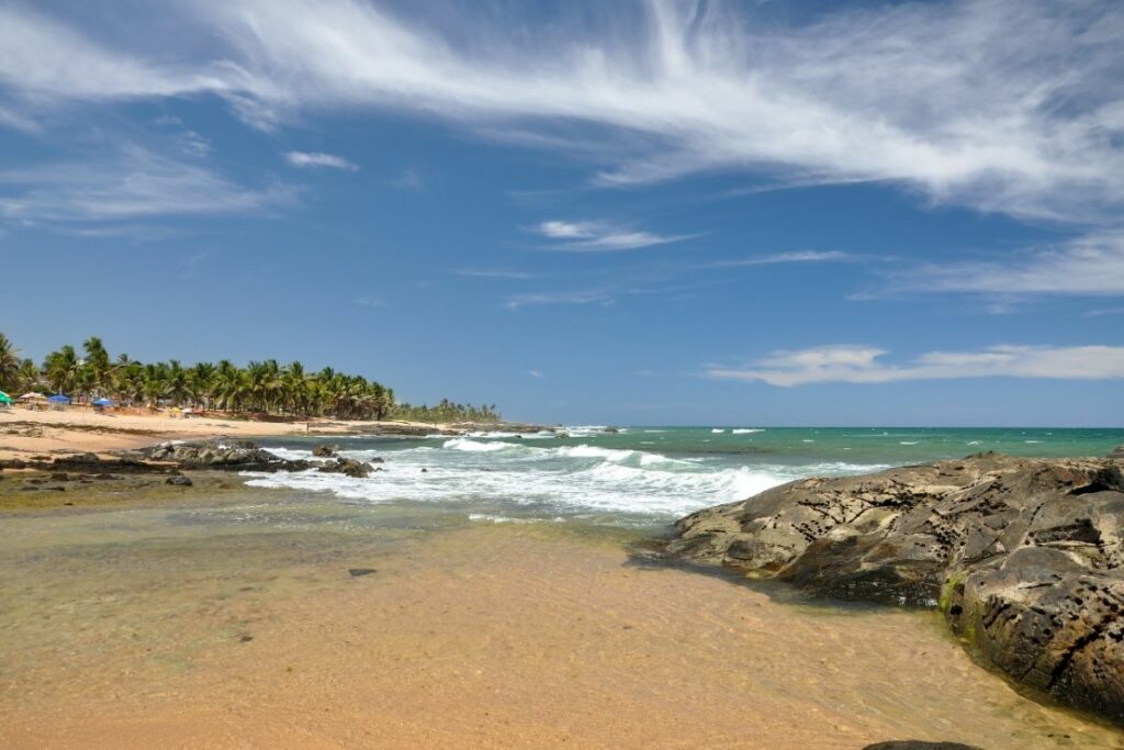 Refúgio Ecológico Praia do Forte-Um Paraíso Sustentável na Bahia