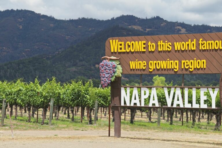 8 Curiosidades sobre Napa Valley e Suas Vinícolas