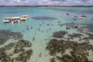 Descubra Maragogi: O Caribe Brasileiro