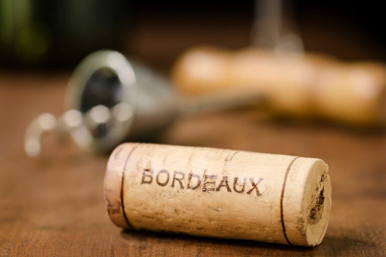 Roteiro de Viagem para Amantes do Vinho na França