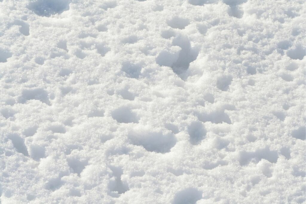 Curiosidades sobre a Neve: Descubra Segredos e Fatos Inusitados